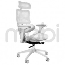 Крісло Ergotech Unique 69x122x66 (ERGOTECH_CM-B137AW-4) 094084